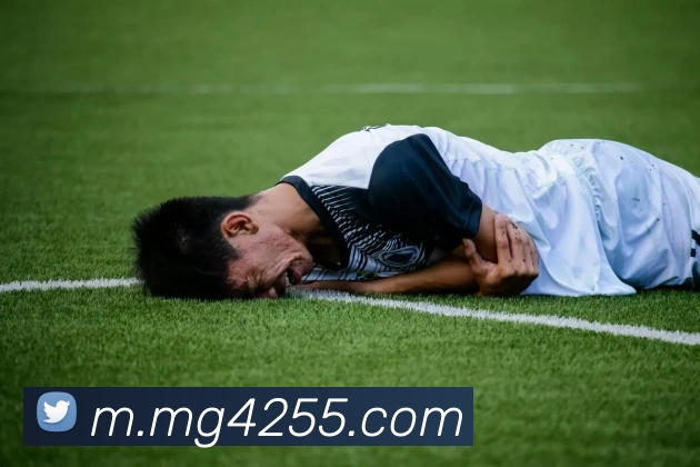 MG冰球突破平台生态图